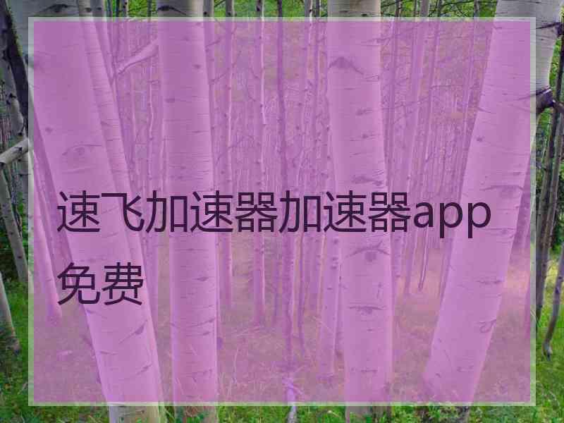 速飞加速器加速器app免费