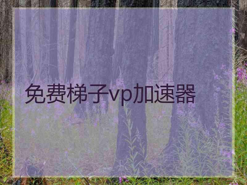 免费梯子vp加速器