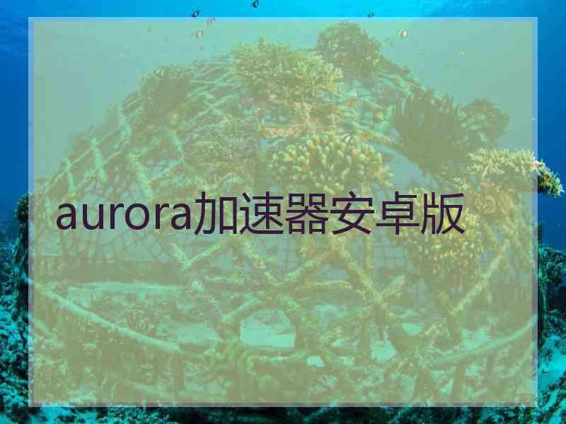 aurora加速器安卓版