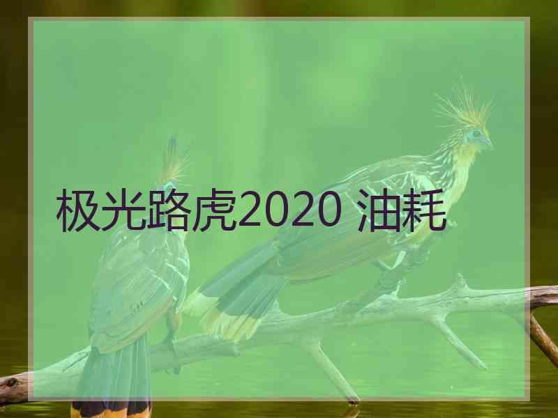 极光路虎2020 油耗