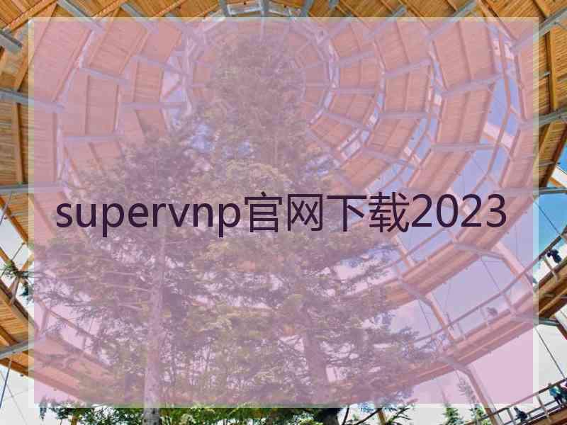 supervnp官网下载2023