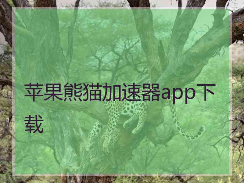 苹果熊猫加速器app下载