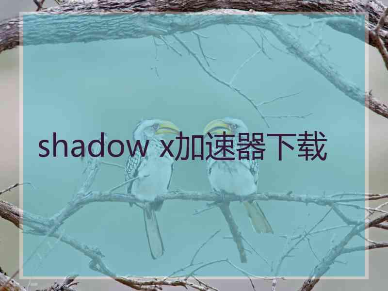 shadow x加速器下载