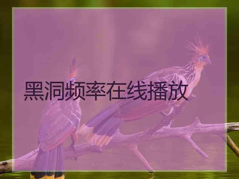 黑洞频率在线播放