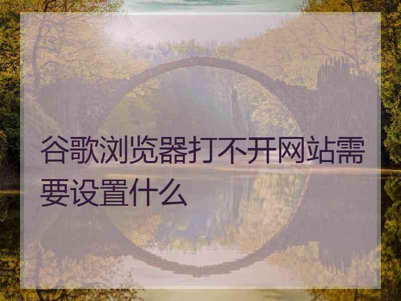 谷歌浏览器打不开网站需要设置什么