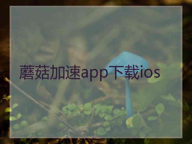 蘑菇加速app下载ios