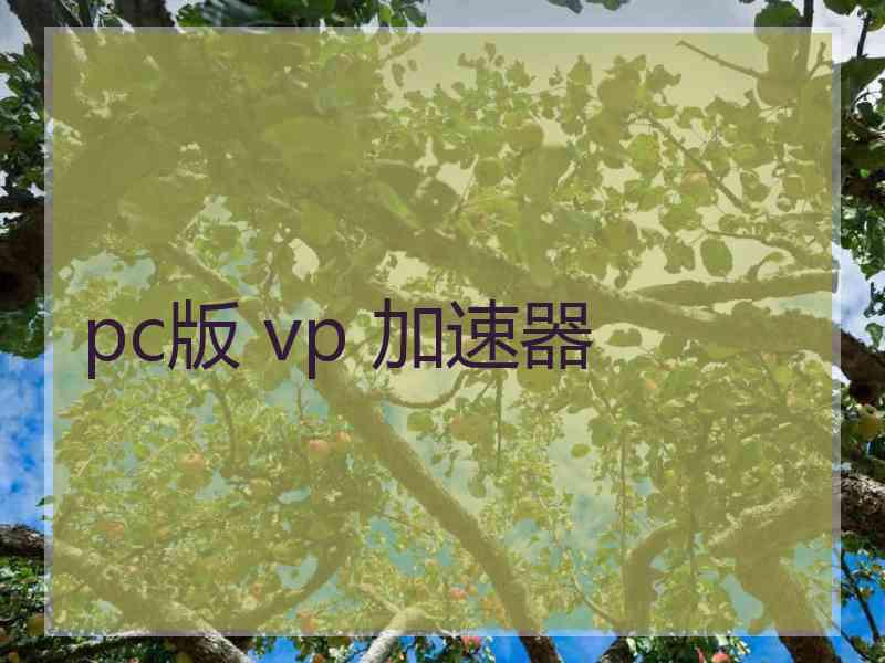 pc版 vp 加速器