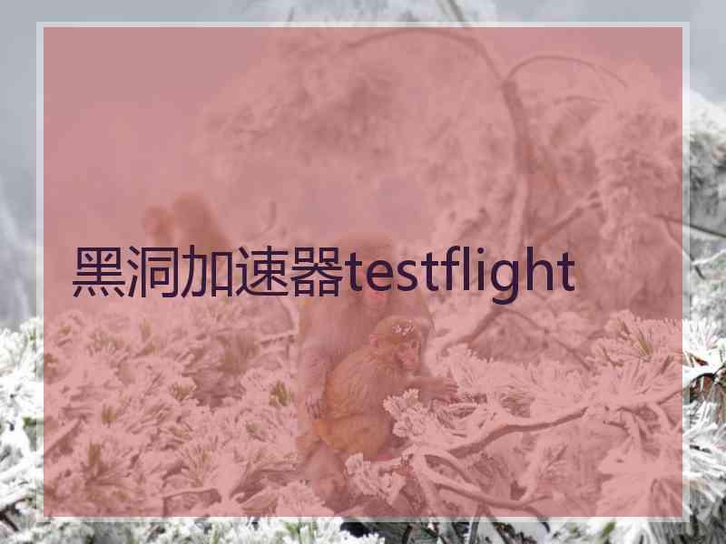 黑洞加速器testflight