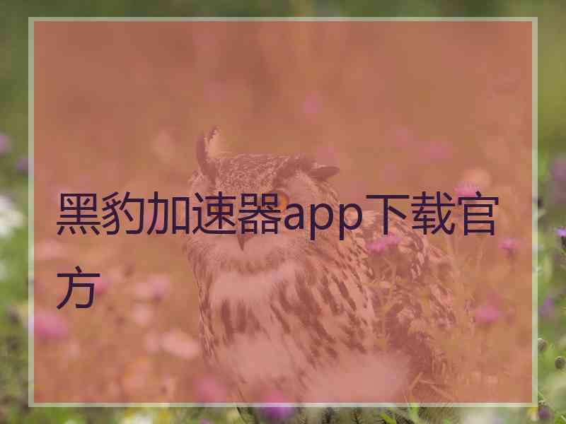 黑豹加速器app下载官方