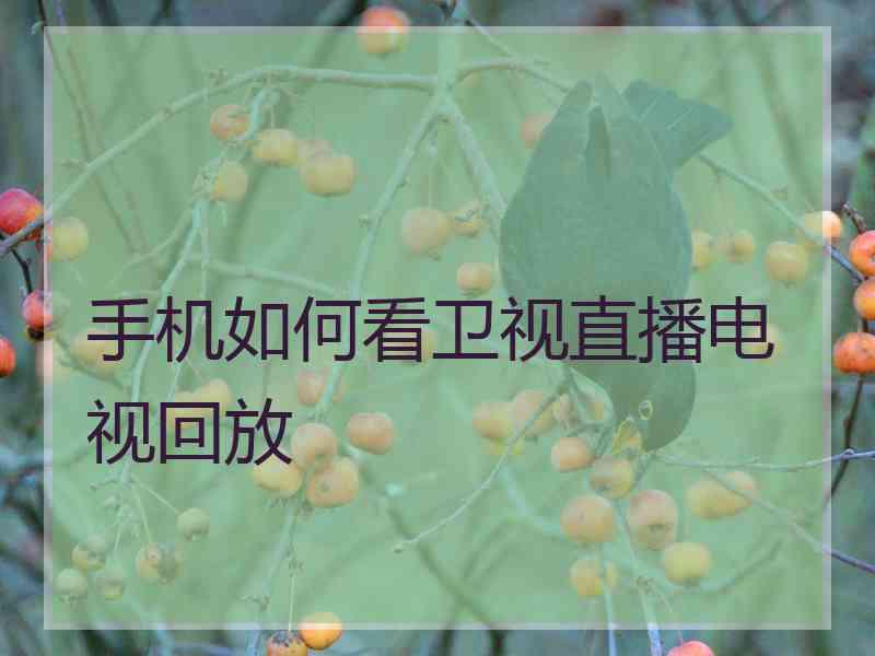 手机如何看卫视直播电视回放