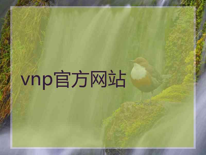 vnp官方网站