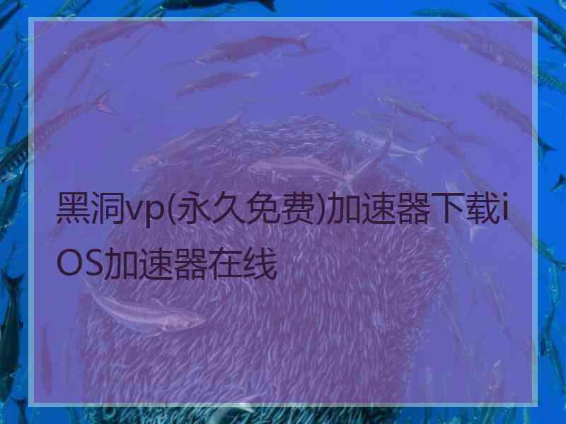 黑洞vp(永久免费)加速器下载iOS加速器在线