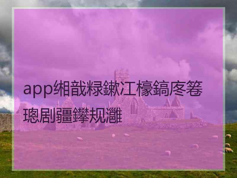 app缃戠粶鏉冮檺鎬庝箞璁剧疆鑻规灉