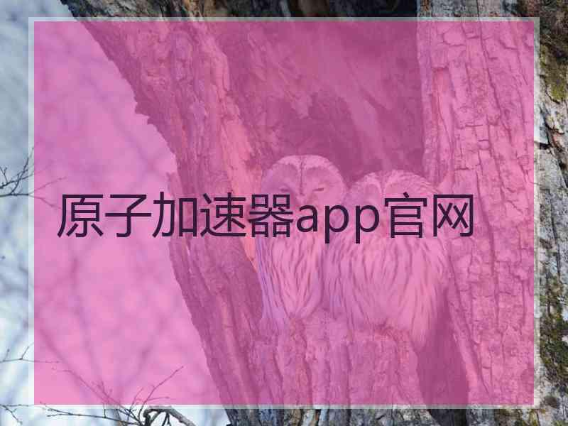 原子加速器app官网