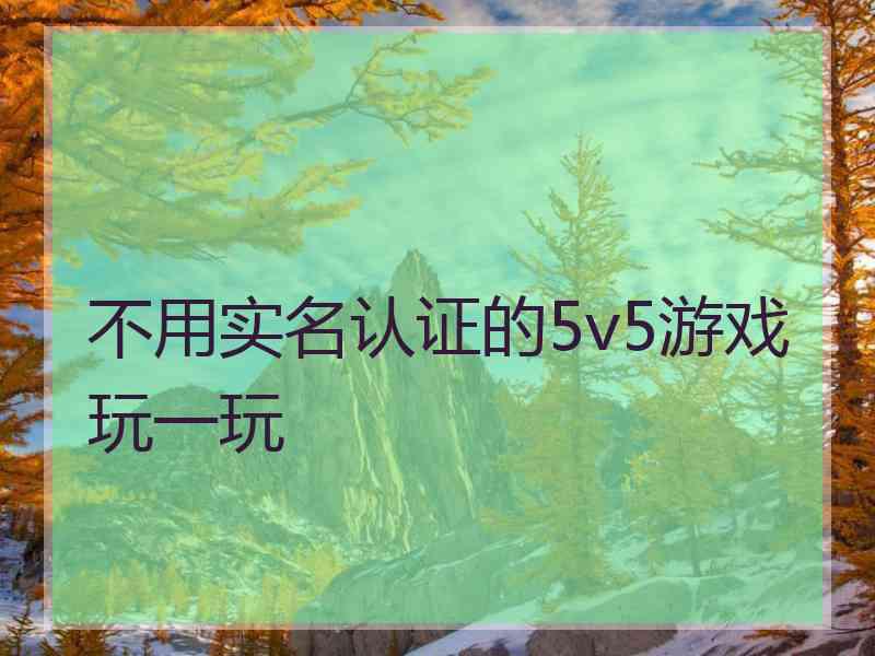 不用实名认证的5v5游戏玩一玩