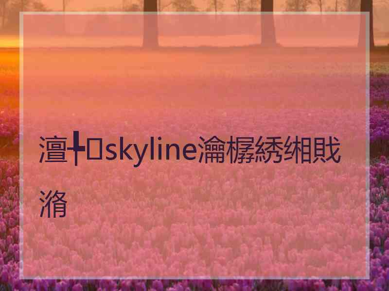 澶╄skyline瀹樼綉缃戝潃