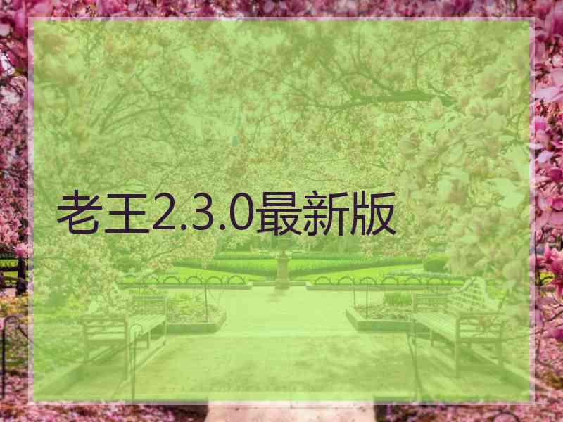 老王2.3.0最新版