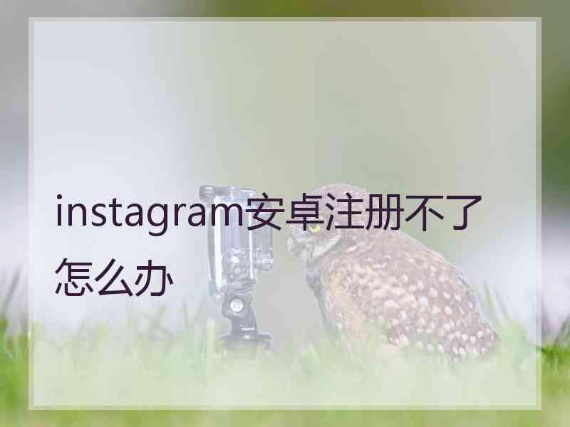 instagram安卓注册不了怎么办