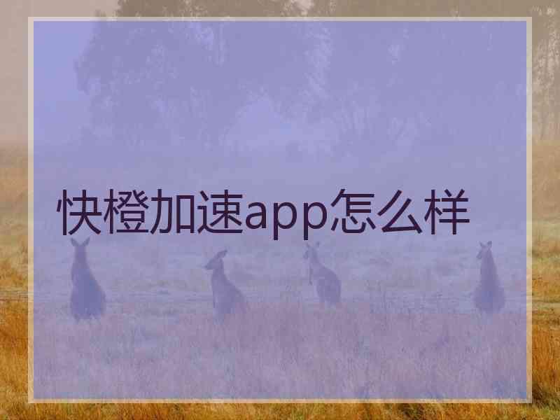 快橙加速app怎么样