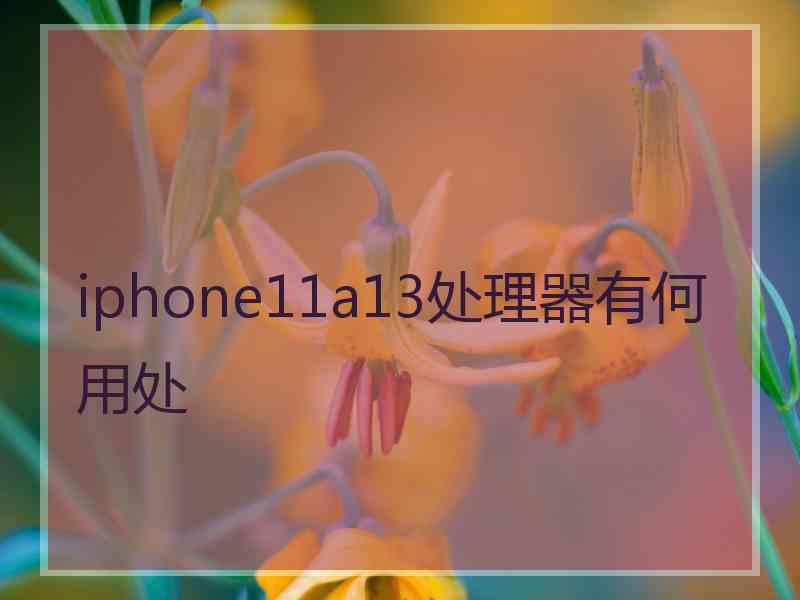 iphone11a13处理器有何用处