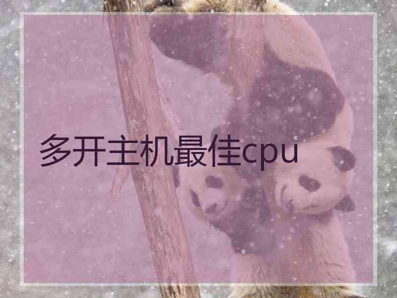 多开主机最佳cpu