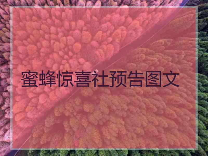 蜜蜂惊喜社预告图文