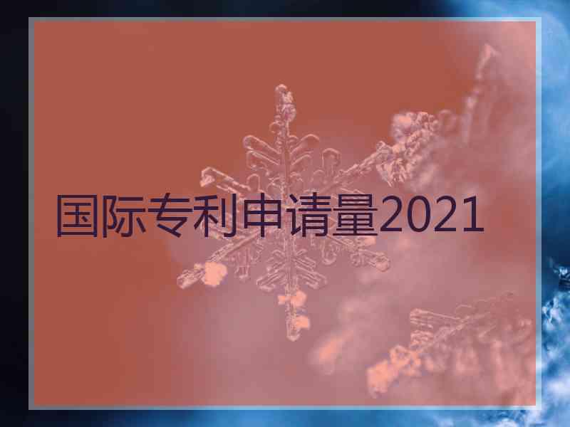国际专利申请量2021