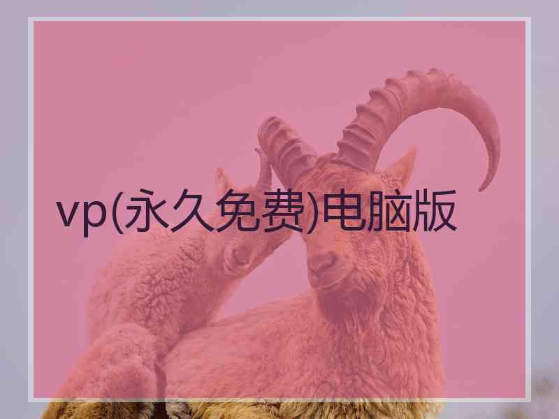 vp(永久免费)电脑版