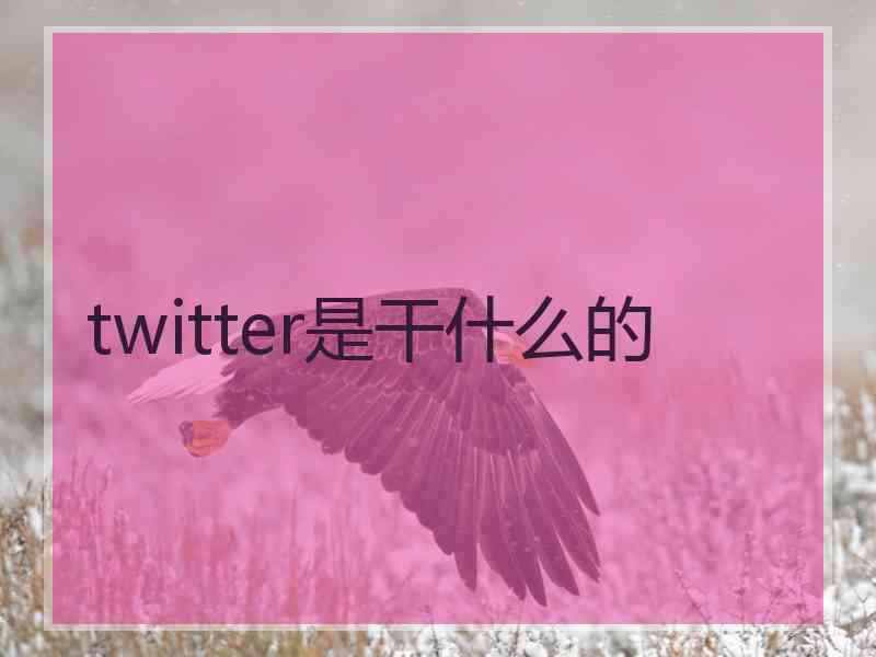 twitter是干什么的