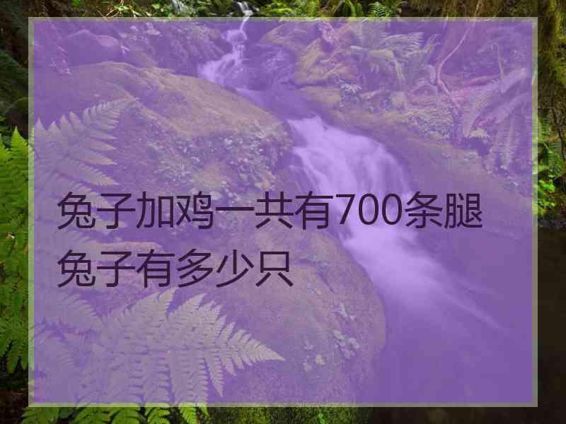 兔子加鸡一共有700条腿兔子有多少只