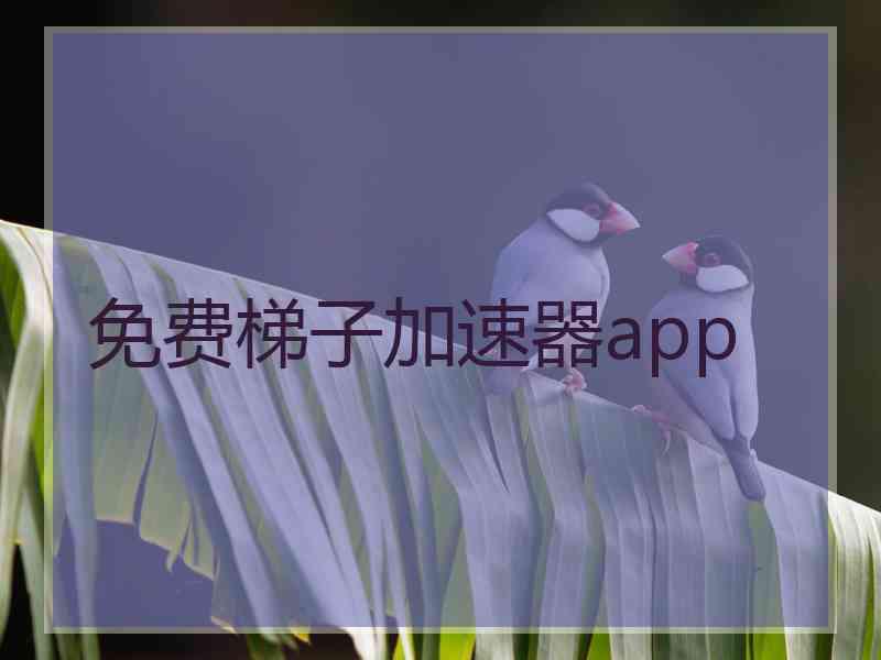 免费梯子加速器app