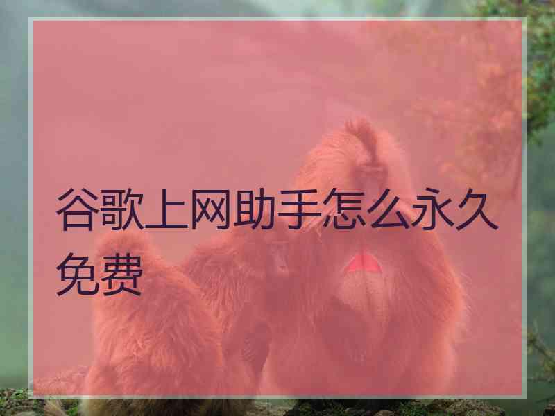 谷歌上网助手怎么永久免费