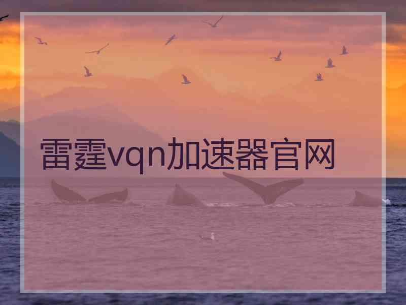 雷霆vqn加速器官网