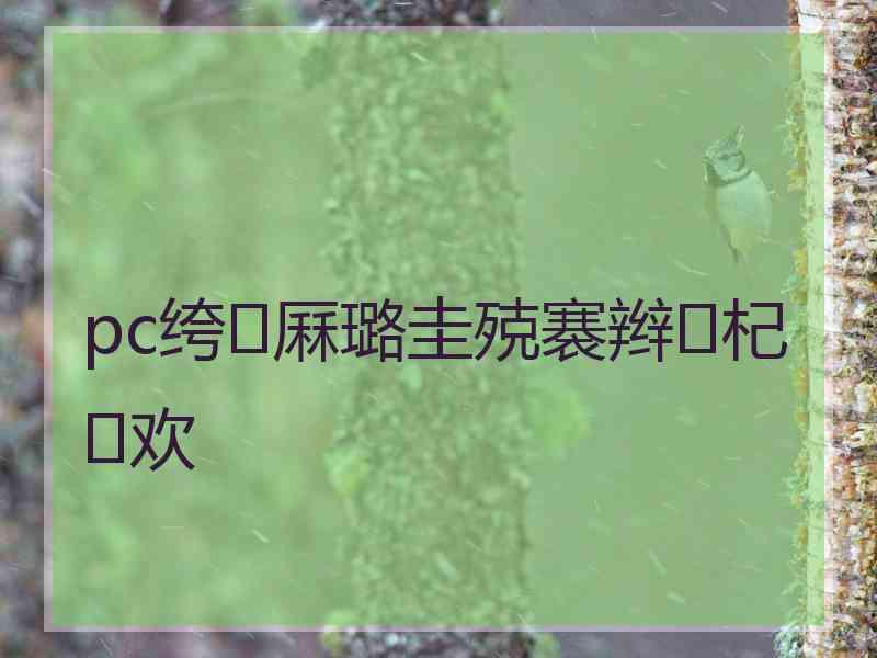 pc绔厤璐圭殑褰辫杞欢