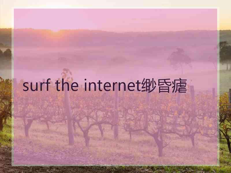 surf the internet缈昏瘧