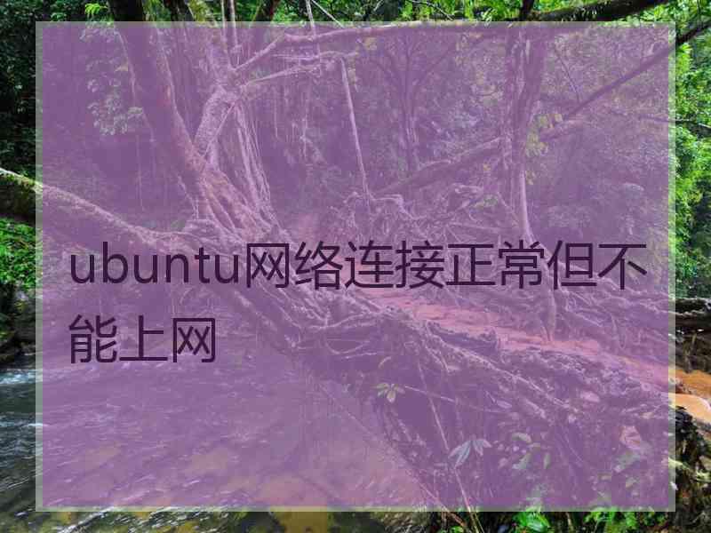 ubuntu网络连接正常但不能上网