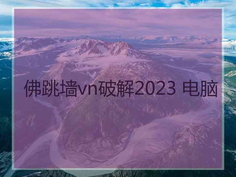 佛跳墙vn破解2023 电脑