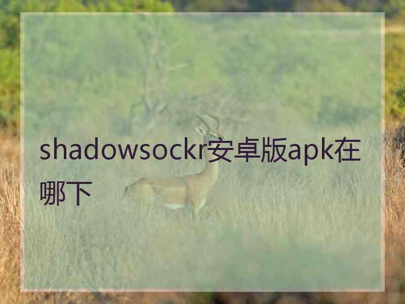 shadowsockr安卓版apk在哪下