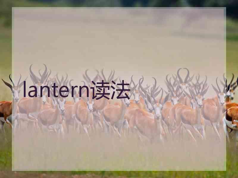 lantern读法