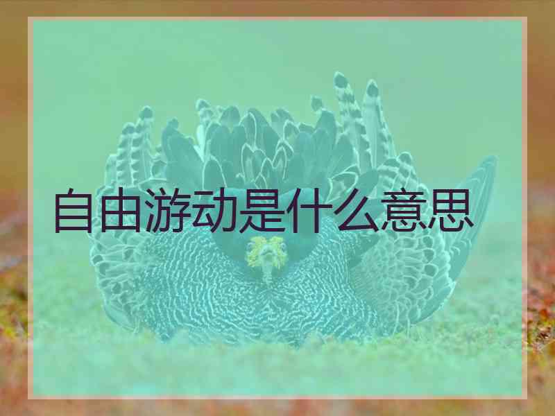 自由游动是什么意思