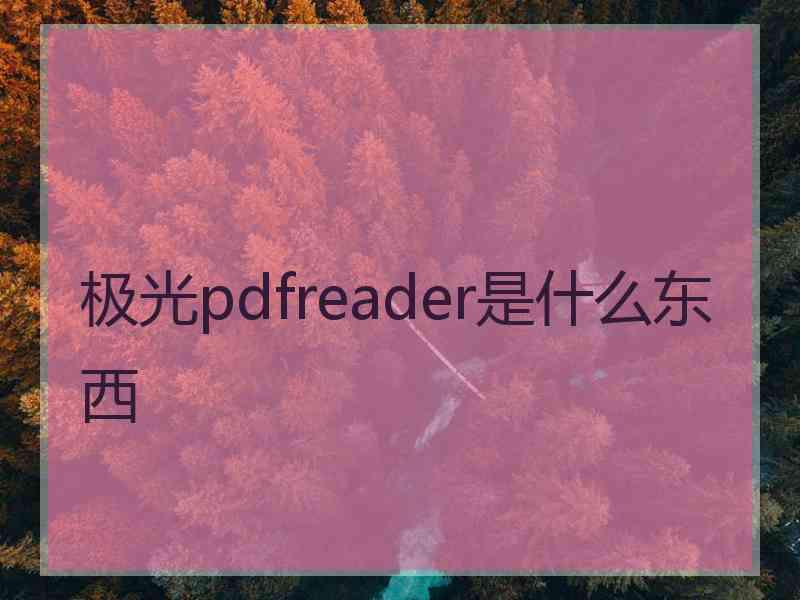 极光pdfreader是什么东西