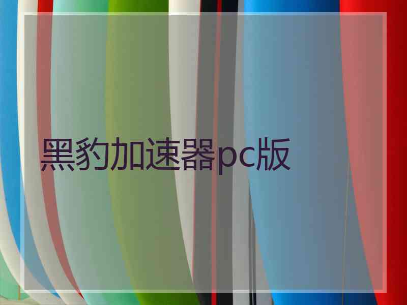 黑豹加速器pc版