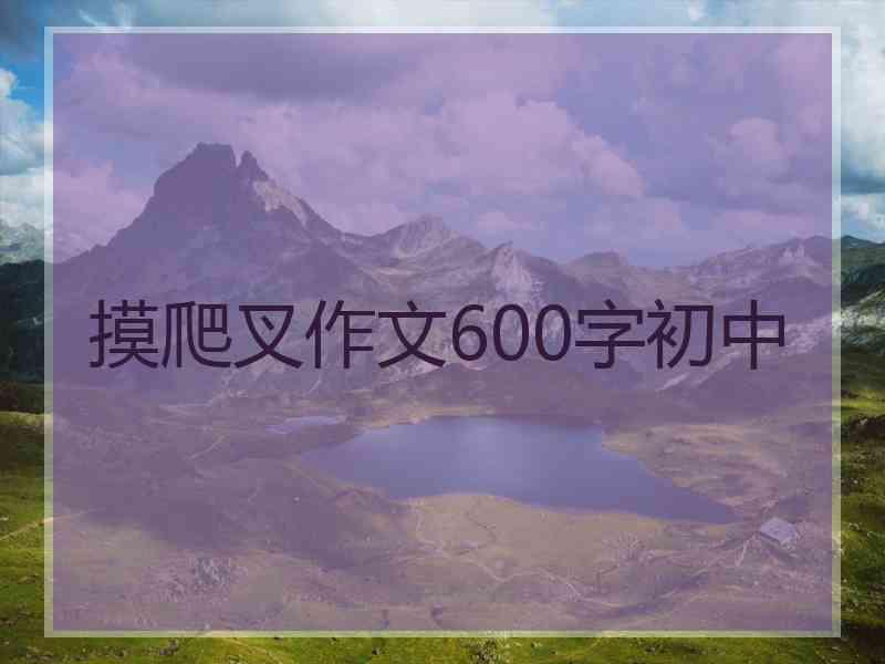 摸爬叉作文600字初中