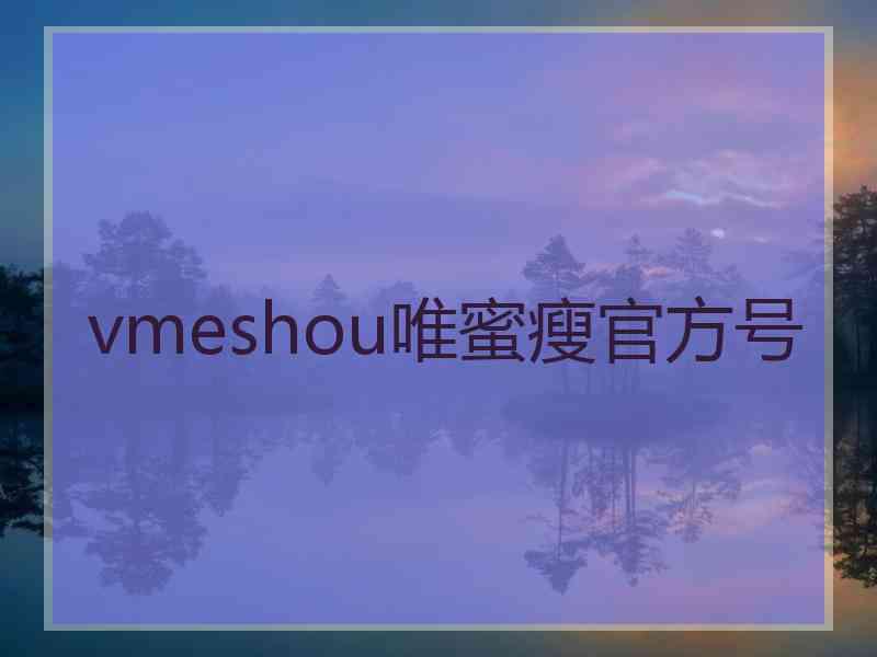 vmeshou唯蜜瘦官方号