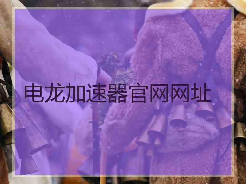 电龙加速器官网网址