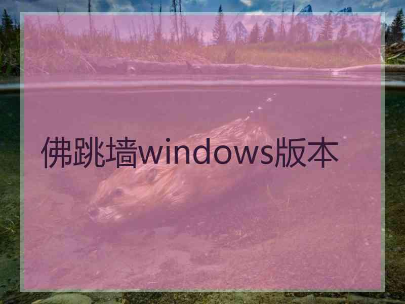 佛跳墙windows版本