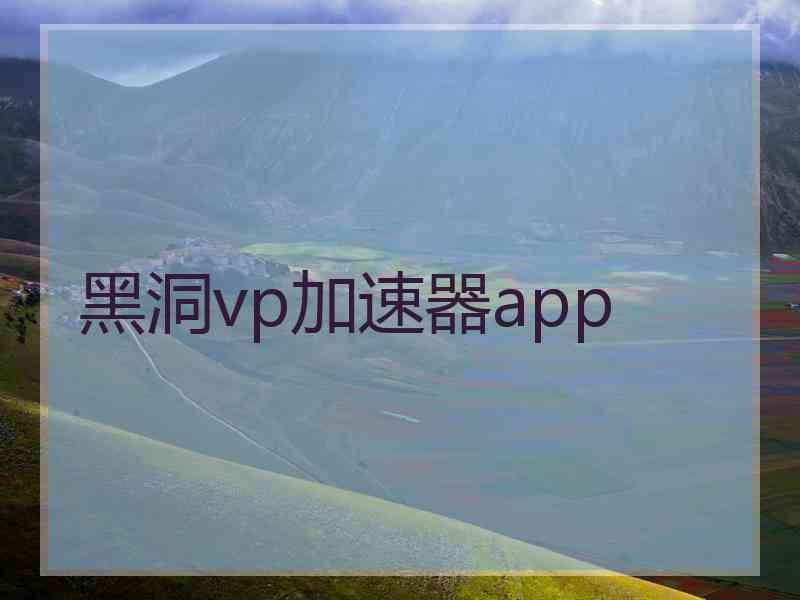 黑洞vp加速器app