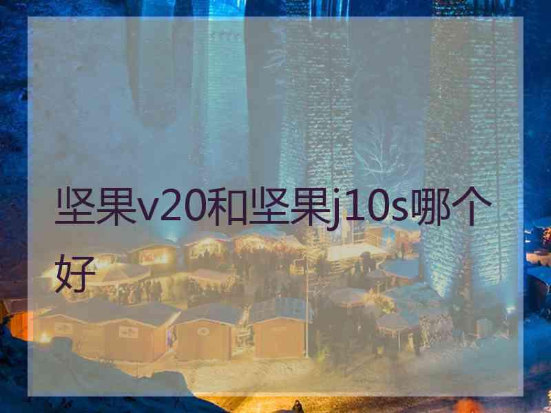 坚果v20和坚果j10s哪个好