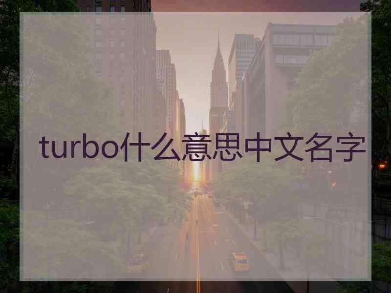 turbo什么意思中文名字