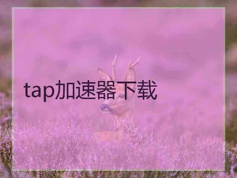 tap加速器下载